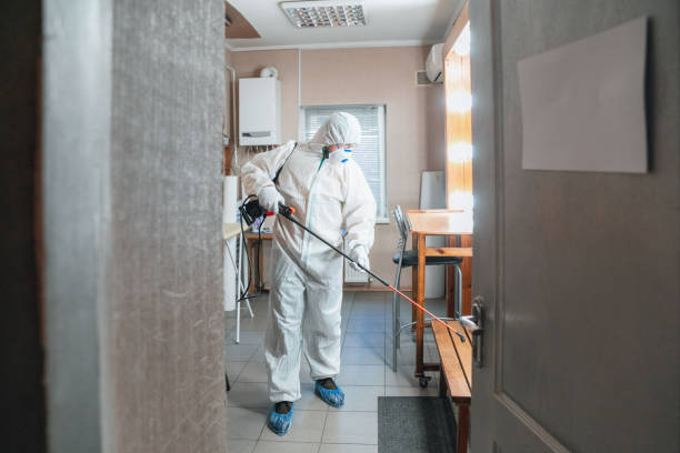 Best Mold Remediation for Healthcare Facilities  in USA